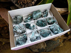 Natural Emerald Mica 'Mutokolite' Cobbed Specimens x 12 From Mutoko, Zimbabwe