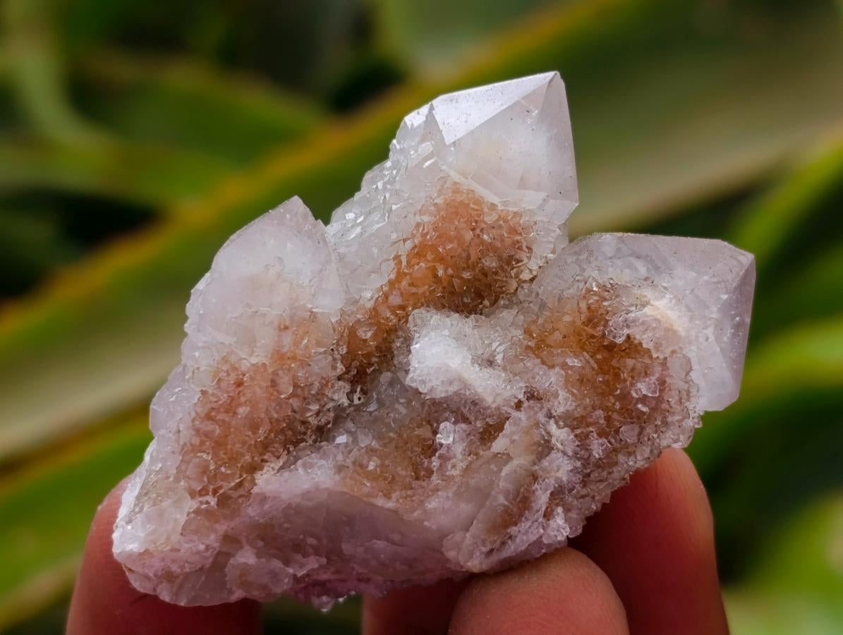 Natural Limonite Fairy Spirit Quartz Crystals x 35 From Boekenhouthoek, South Africa