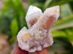Natural Limonite Fairy Spirit Quartz Crystals x 35 From Boekenhouthoek, South Africa