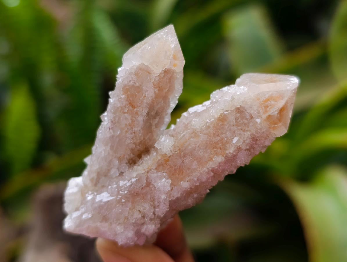 Natural Limonite Fairy Spirit Quartz Crystals x 35 From Boekenhouthoek, South Africa