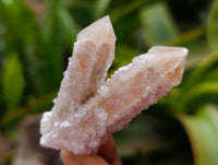 Natural Limonite Fairy Spirit Quartz Crystals x 35 From Boekenhouthoek, South Africa