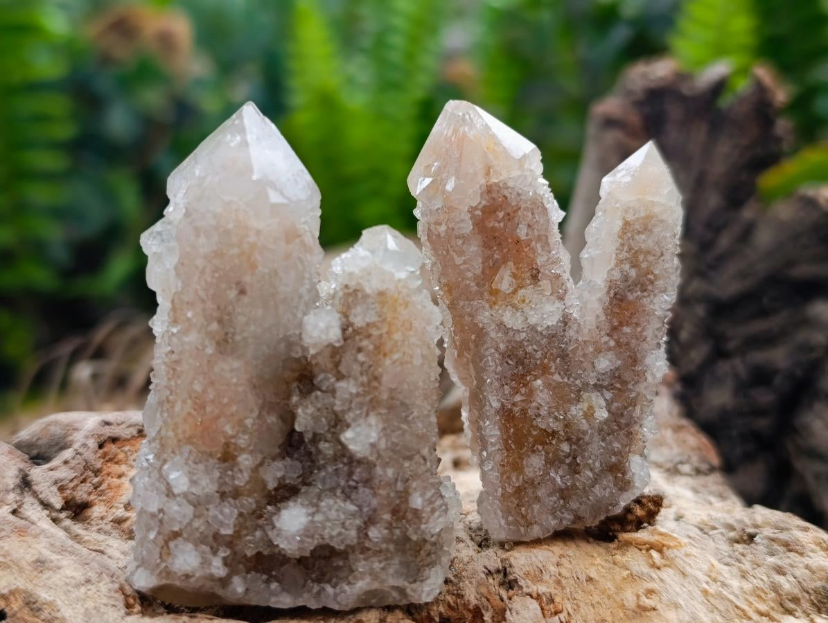 Natural Limonite Fairy Spirit Quartz Crystals x 35 From Boekenhouthoek, South Africa