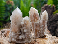 Natural Limonite Fairy Spirit Quartz Crystals x 35 From Boekenhouthoek, South Africa