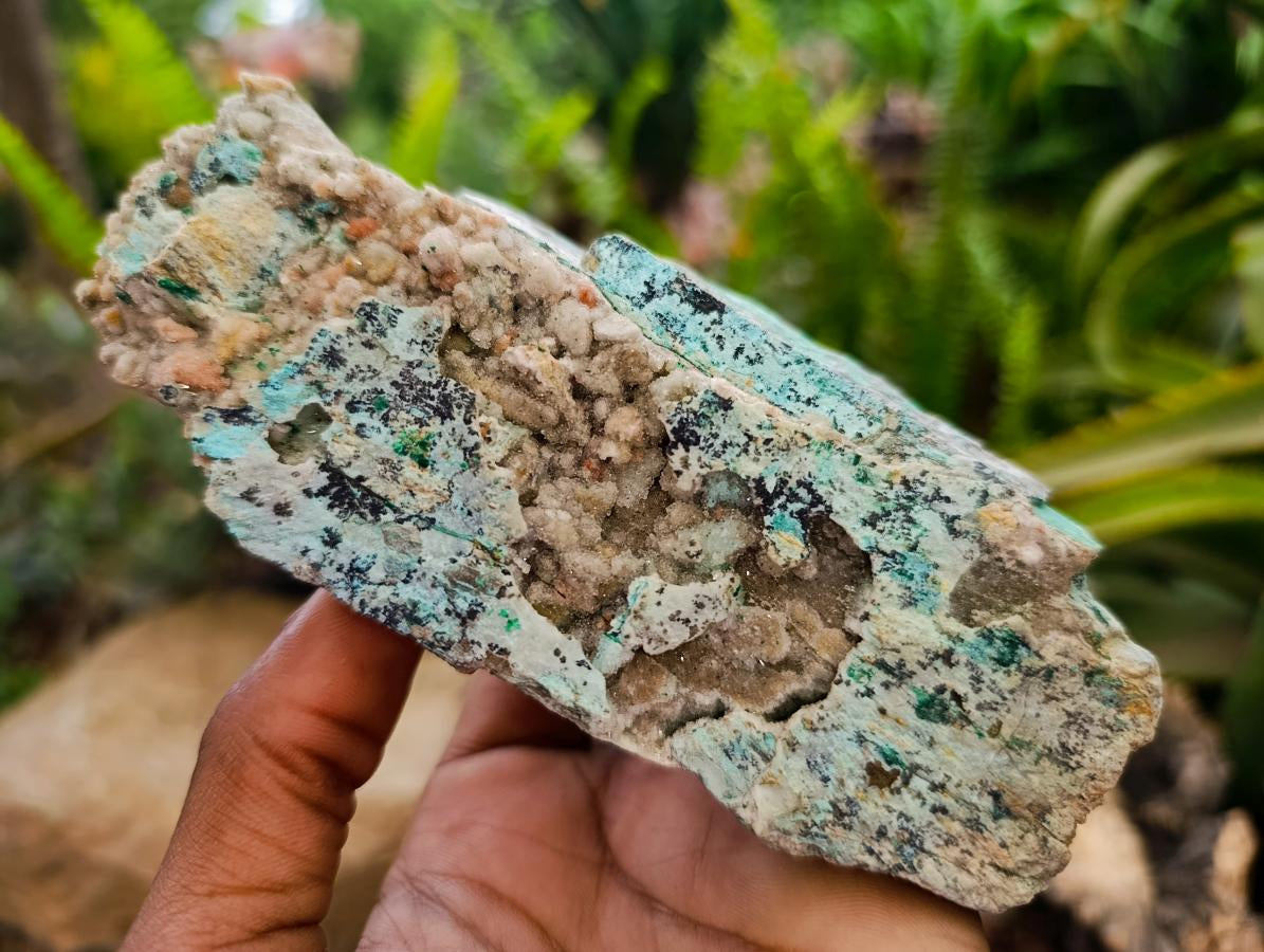 Natural Drusy Coated Chrysocolla On Dolomite Specimens x 2 From Lupoto Mine, Congo