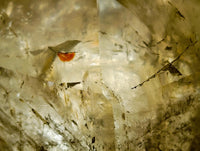 Polished Rare Smokey Quartz Crystal x 1 From Zambia