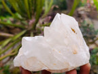 Natural Etched Terminated Candle Quartz Clusters x 3 From Antsirabe, Madagascar