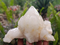 Natural Etched Terminated Candle Quartz Clusters x 3 From Antsirabe, Madagascar