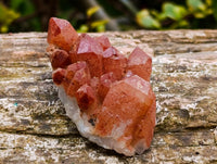 Natural Mix Of Multi Mineral Specimens x 22 From Southern Africa