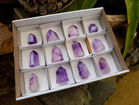 Polished Window Amethyst Crystals x 12 From Akansobe, Madagascar