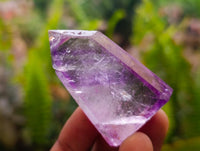 Polished Window Amethyst Crystals x 12 From Akansobe, Madagascar