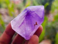 Polished Window Amethyst Crystals x 12 From Akansobe, Madagascar