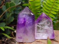 Polished Window Amethyst Crystals x 12 From Akansobe, Madagascar