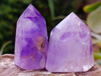 Polished Window Amethyst Crystals x 12 From Akansobe, Madagascar