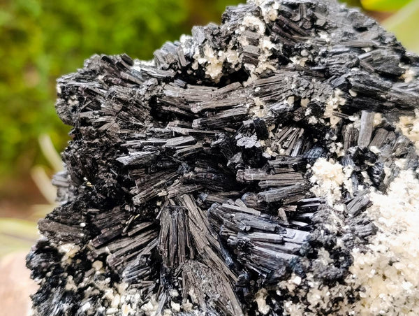 Natural Schorl Black Tourmaline With Vermiculite x 1 From Erongo, Namibia