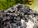 Natural Schorl Black Tourmaline With Vermiculite x 1 From Erongo, Namibia