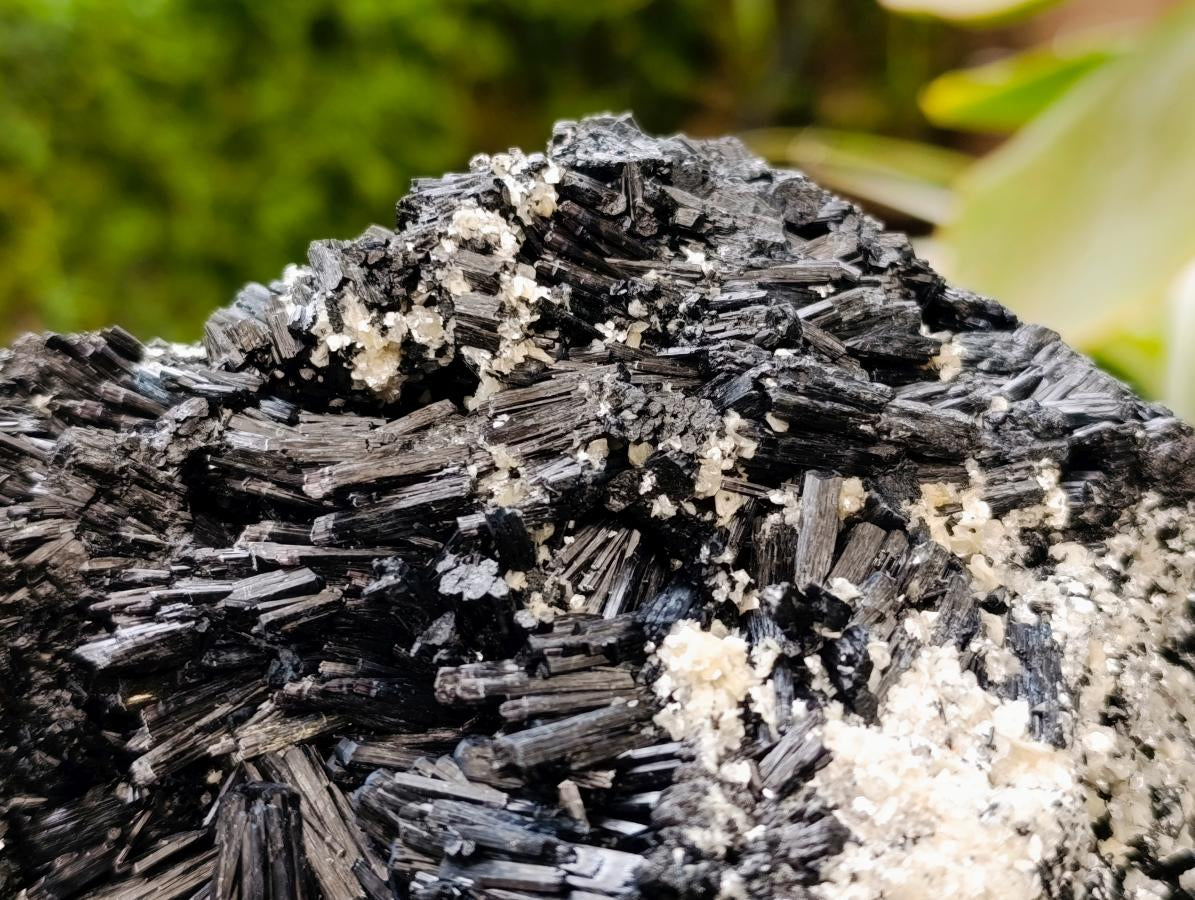 Natural Schorl Black Tourmaline With Vermiculite x 1 From Erongo, Namibia