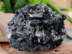 Natural Schorl Black Tourmaline With Vermiculite x 1 From Erongo, Namibia