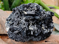 Natural Schorl Black Tourmaline With Vermiculite x 1 From Erongo, Namibia
