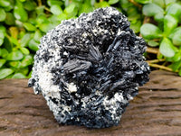 Natural Schorl Black Tourmaline With Vermiculite x 1 From Erongo, Namibia