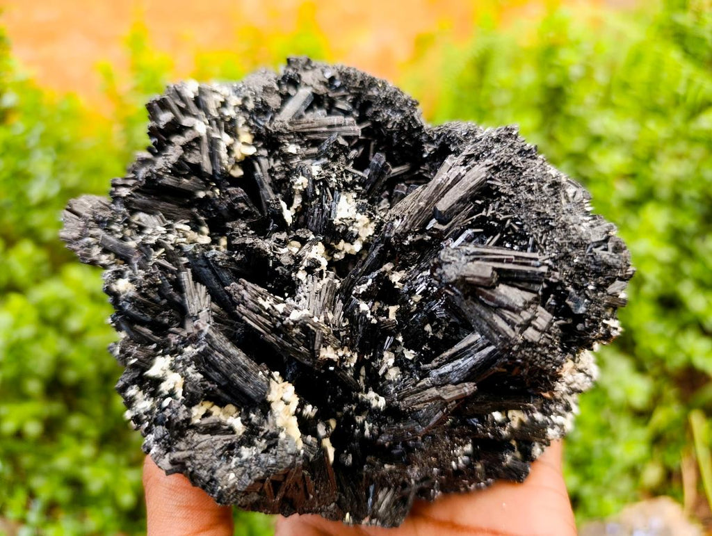 Natural Schorl Black Tourmaline With Vermiculite x 1 From Erongo, Namibia