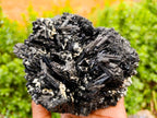 Natural Schorl Black Tourmaline With Vermiculite x 1 From Erongo, Namibia