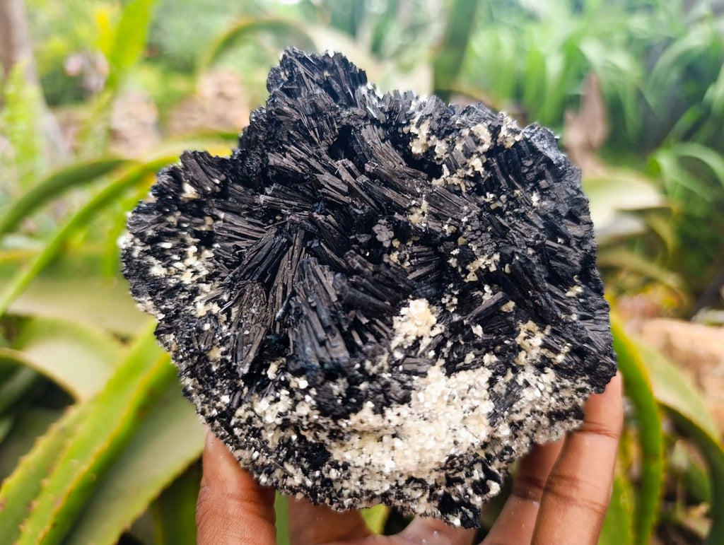 Natural Schorl Black Tourmaline With Vermiculite x 1 From Erongo, Namibia
