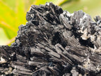 Natural Schorl Black Tourmaline With Vermiculite x 1 From Erongo, Namibia