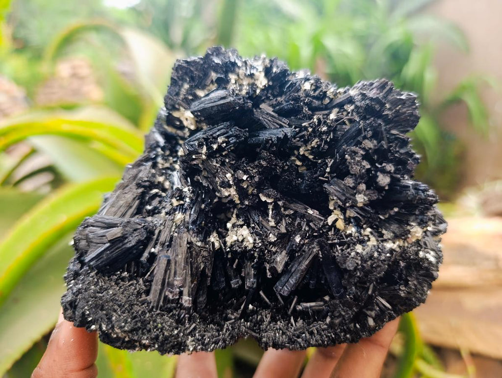 Natural Schorl Black Tourmaline With Vermiculite x 1 From Erongo, Namibia