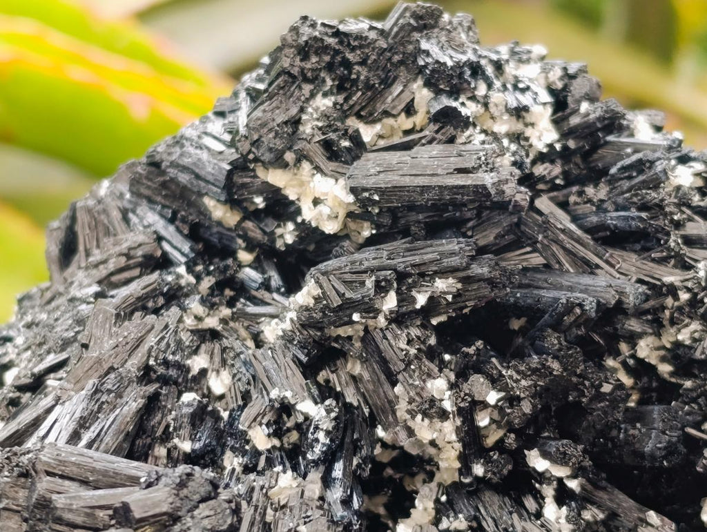 Natural Schorl Black Tourmaline With Vermiculite x 1 From Erongo, Namibia