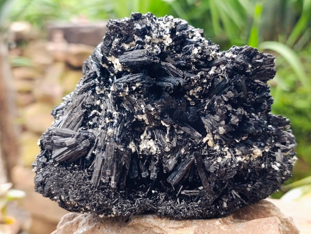 Natural Schorl Black Tourmaline With Vermiculite x 1 From Erongo, Namibia