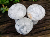 Polished Lightning Strike Howlite Mushrooms x 3 From Kadoma Zimbabwe