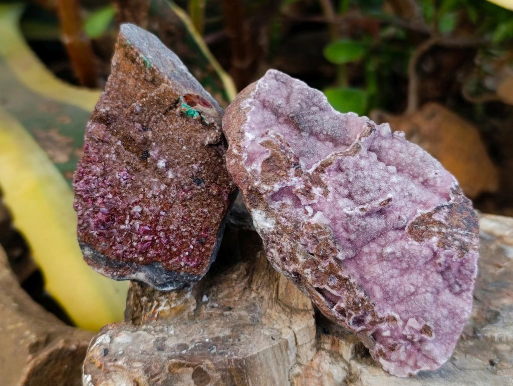 Natural Salrose Cobaltion Dolomite Specimens x 6 From Kakanda, Congo