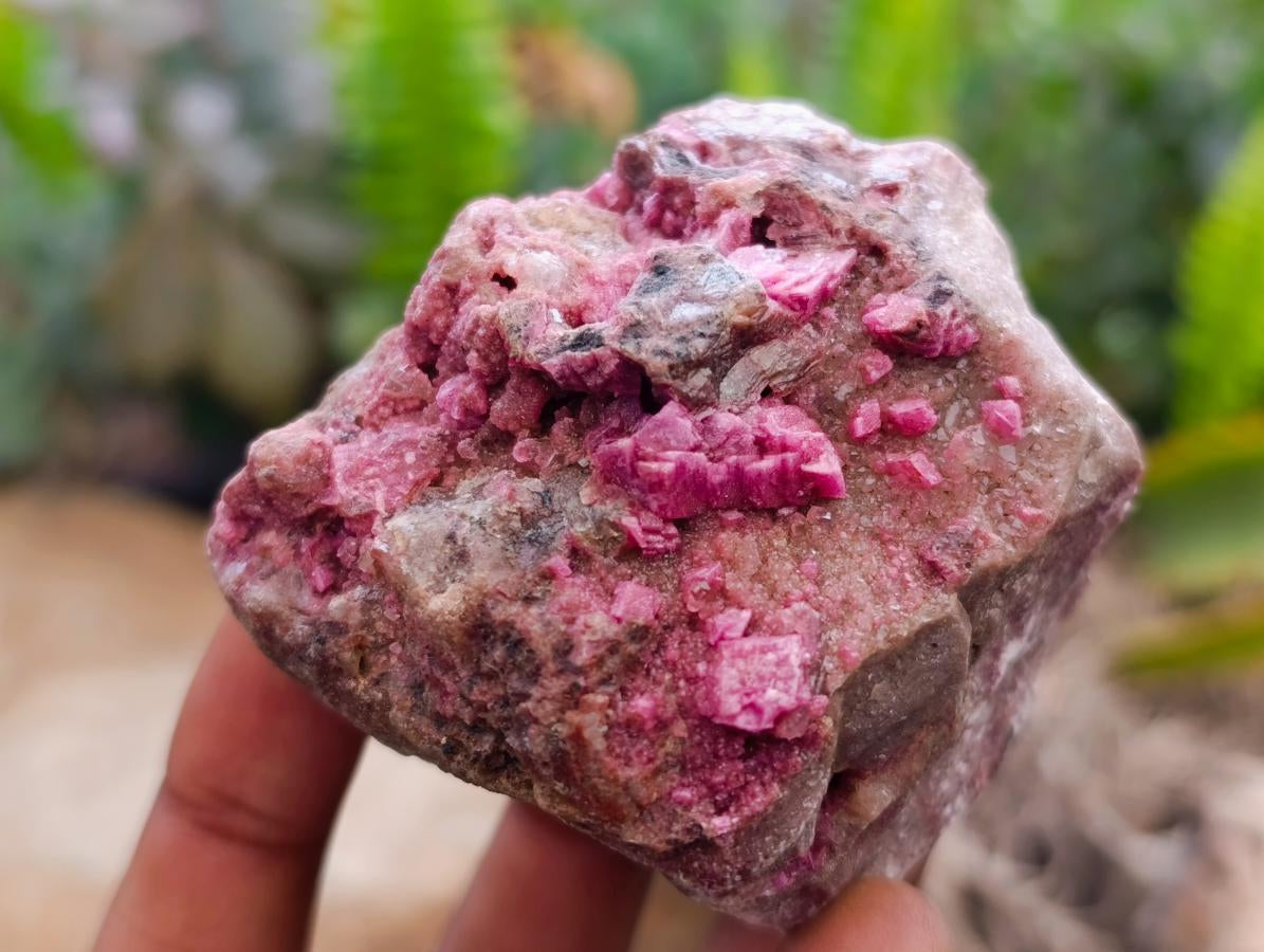 Natural Salrose Cobaltion Dolomite Specimens x 6 From Kakanda, Congo