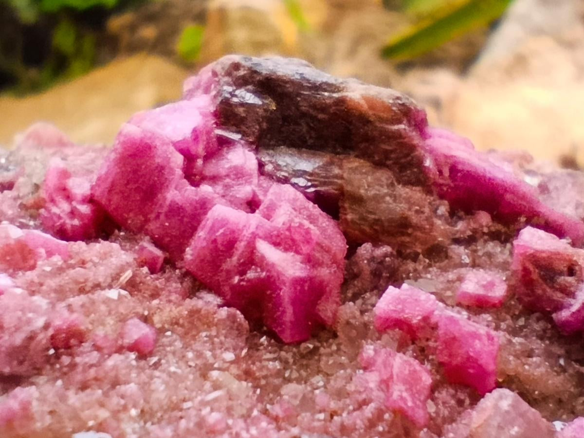 Natural Salrose Cobaltion Dolomite Specimens x 6 From Kakanda, Congo