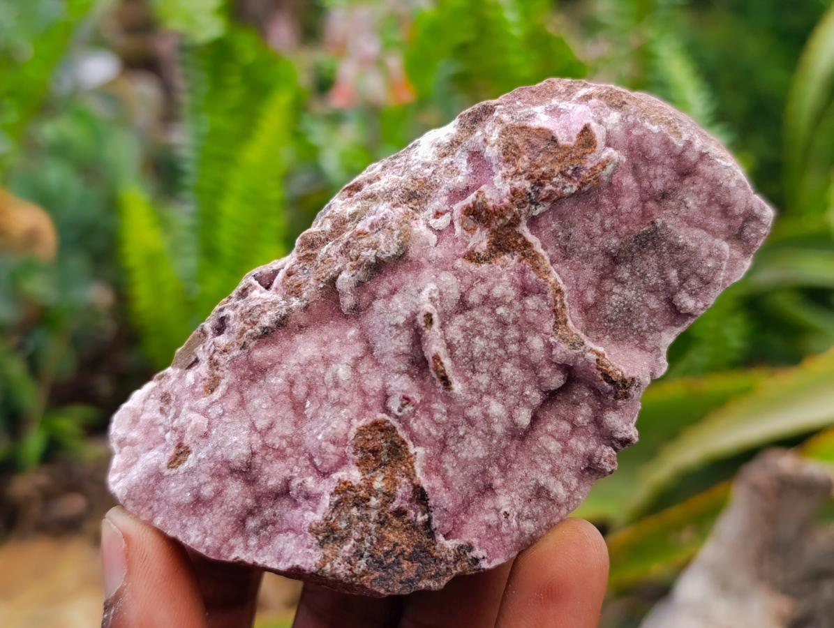 Natural Salrose Cobaltion Dolomite Specimens x 6 From Kakanda, Congo