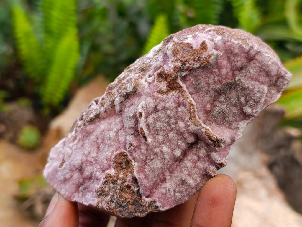Natural Salrose Cobaltion Dolomite Specimens x 6 From Kakanda, Congo