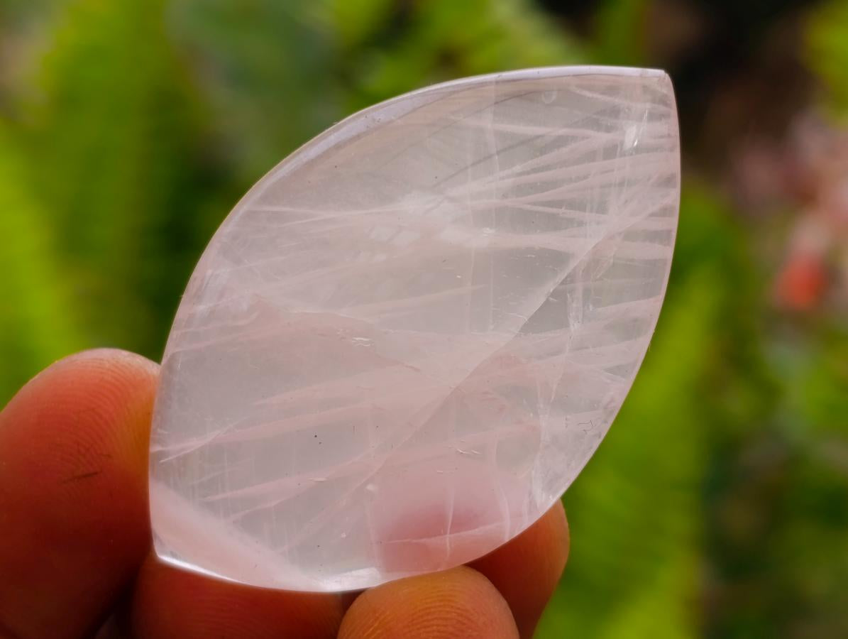 Polished Gemmy Rose Quartz Oval Free Forms x 35 From Madagascar