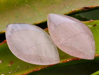 Polished Gemmy Rose Quartz Oval Free Forms x 35 From Madagascar