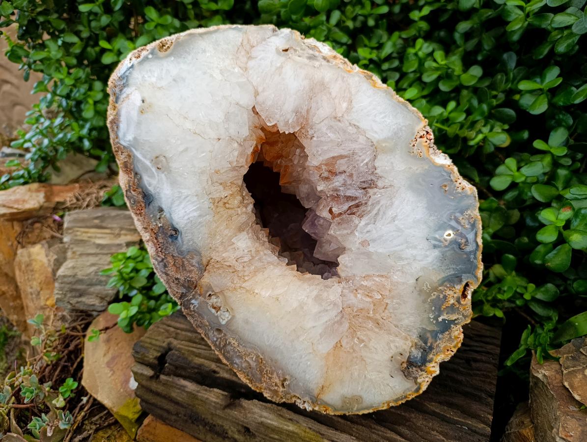 Polished XXL Agate Crystalline Centred Geode x 1 From Madagascar