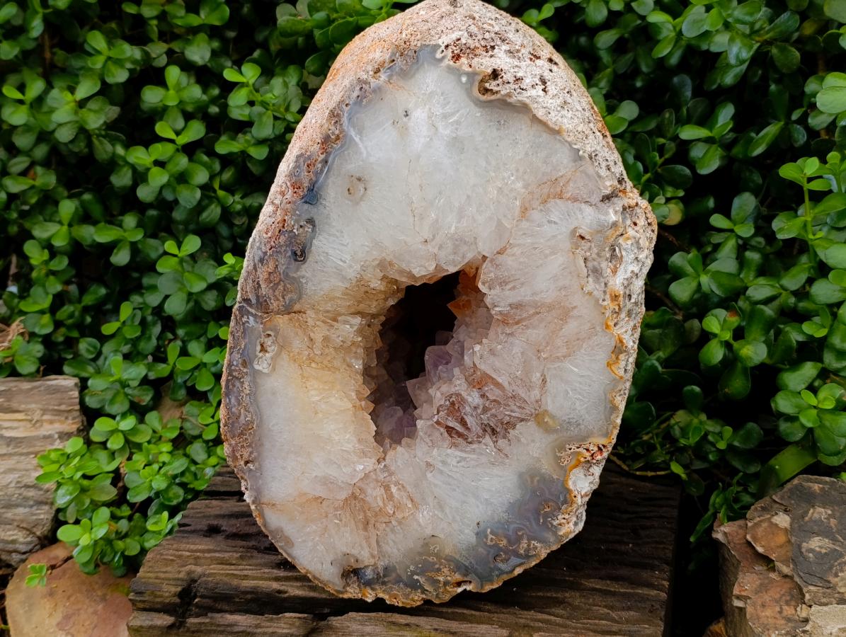 Polished XXL Agate Crystalline Centred Geode x 1 From Madagascar