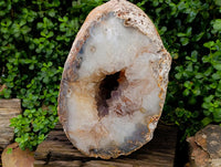 Polished XXL Agate Crystalline Centred Geode x 1 From Madagascar