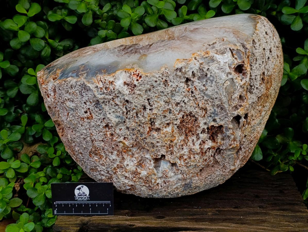 Polished XXL Agate Crystalline Centred Geode x 1 From Madagascar