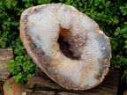 Polished XXL Agate Crystalline Centred Geode x 1 From Madagascar