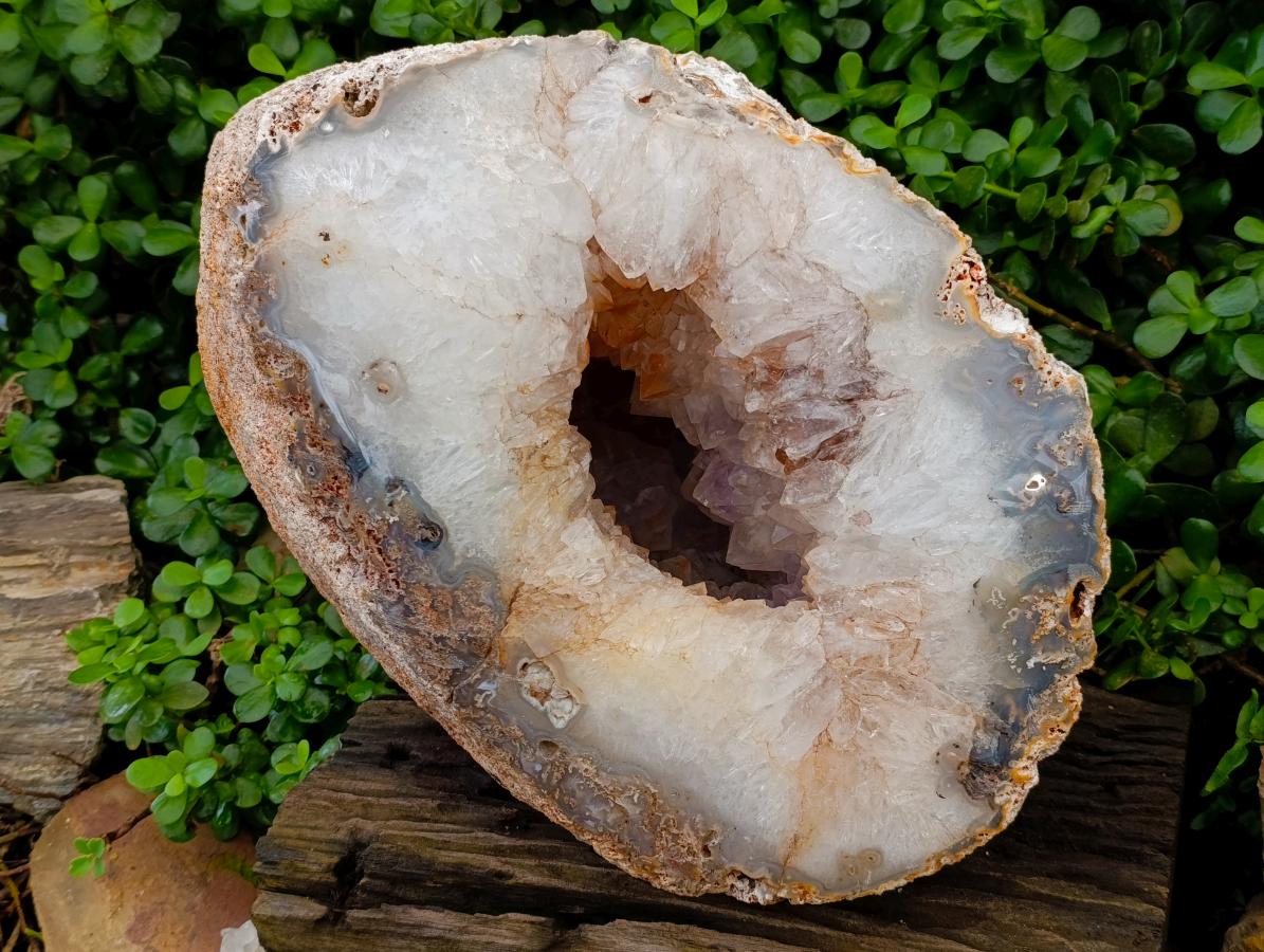 Polished XXL Agate Crystalline Centred Geode x 1 From Madagascar