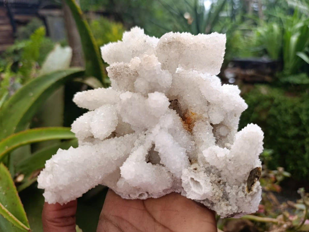 Natural Large Drusy Snow Finger Cluster x 1 From Albert's Mountain, Lesotho