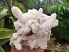 Natural Large Drusy Snow Finger Cluster x 1 From Albert's Mountain, Lesotho