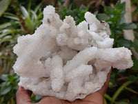 Natural Large Drusy Snow Finger Cluster x 1 From Albert's Mountain, Lesotho