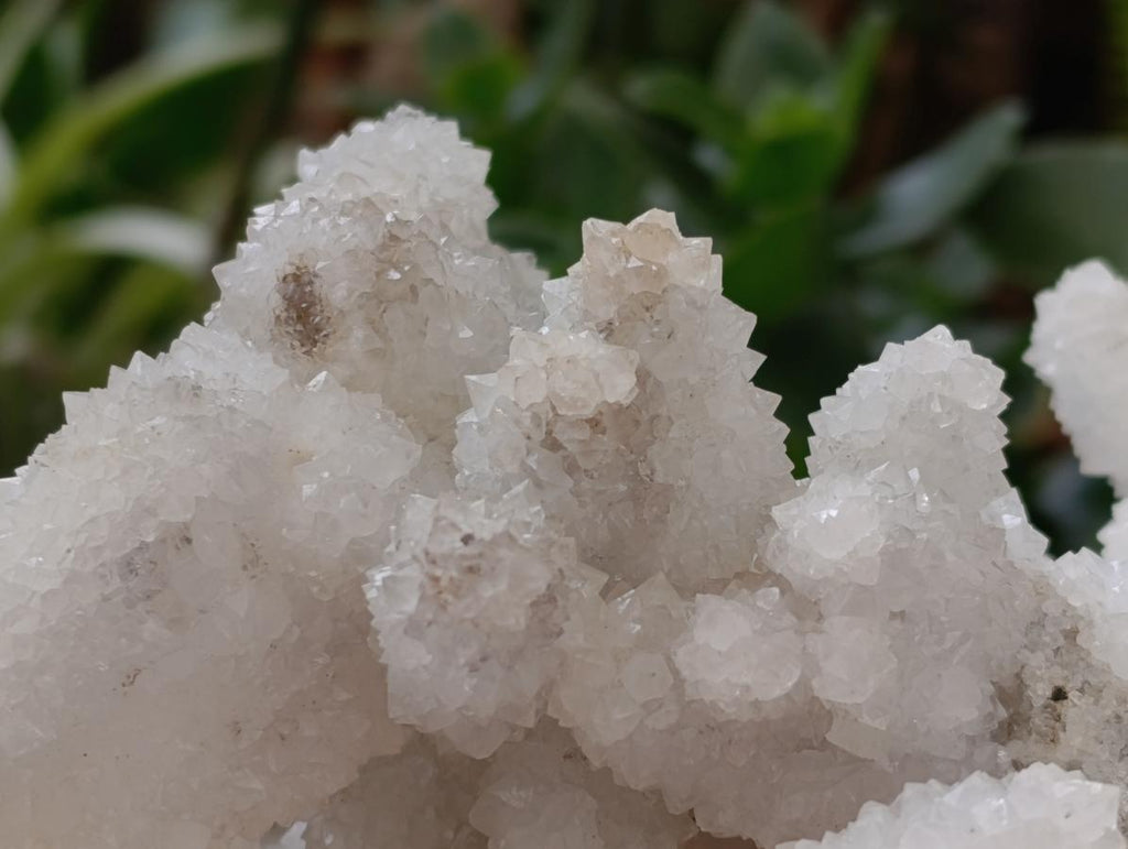 Natural Large Drusy Snow Finger Cluster x 1 From Albert's Mountain, Lesotho