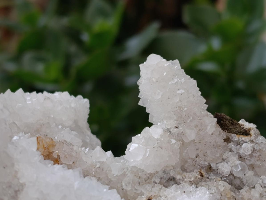 Natural Large Drusy Snow Finger Cluster x 1 From Albert's Mountain, Lesotho