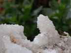 Natural Large Drusy Snow Finger Cluster x 1 From Albert's Mountain, Lesotho